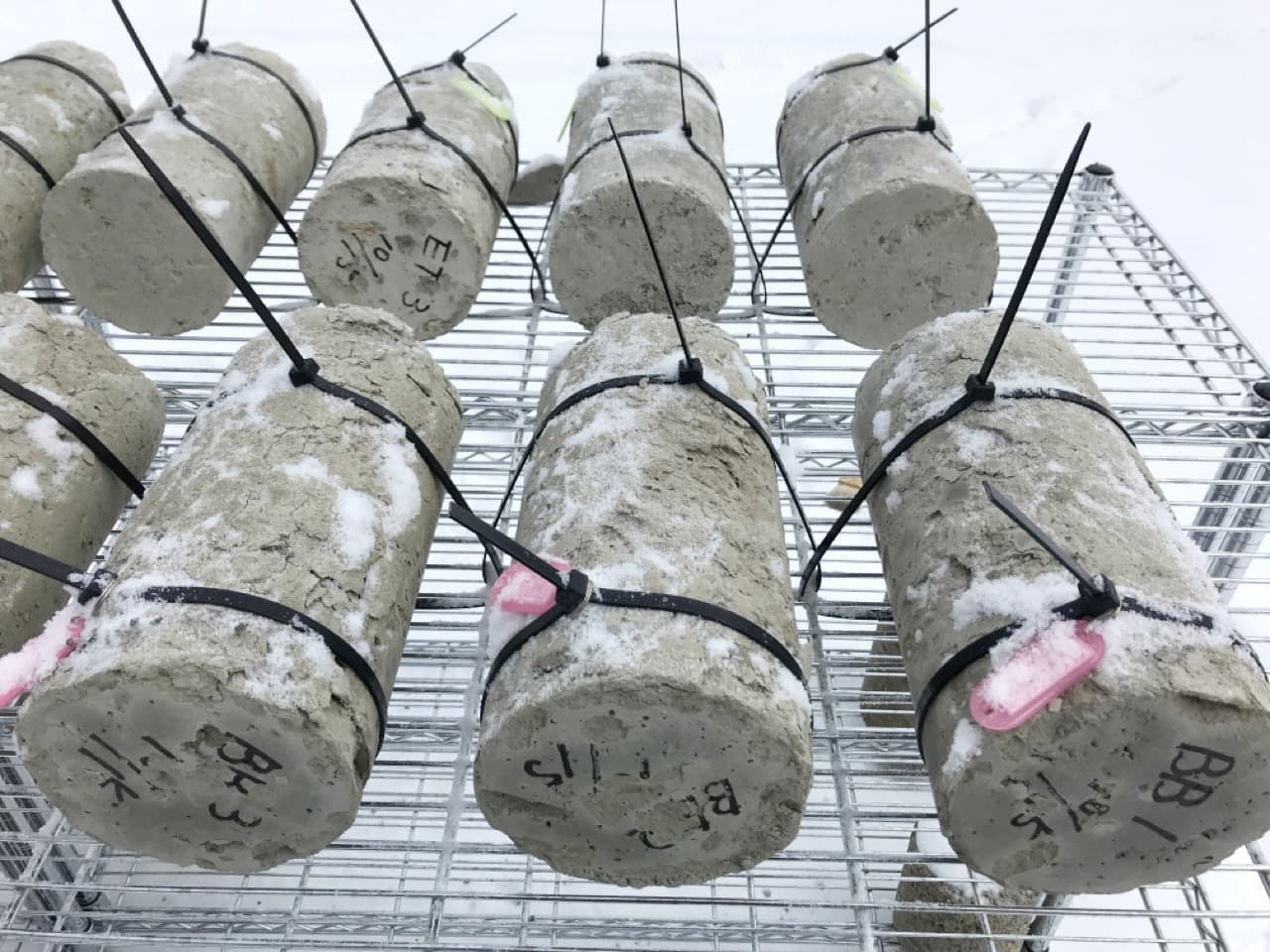 図２.北海道での暴露試験